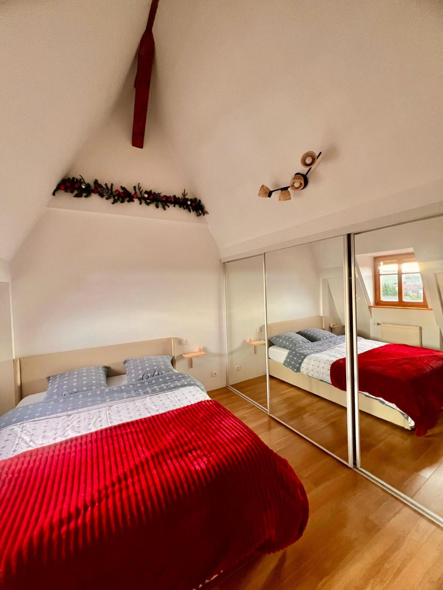 Duplex Au Coeur De Turckheim, 10 Min De Colmar Et Place De Parking Esterno foto